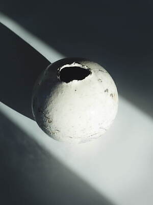 ライト(WRYHT) 2022年春夏ウィメンズコレクション  - 写真2