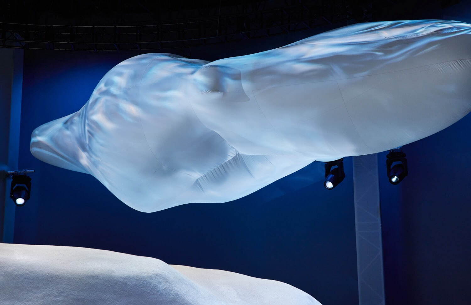 モンクレール + ディンユー・チャン、海底世界の生物に着想を得た“ボリューミー”パファージャケット｜写真36