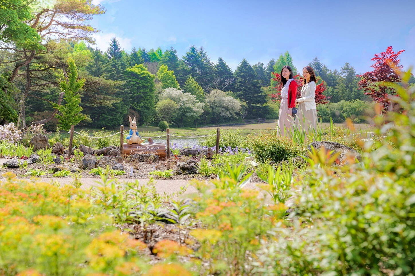 「虹の花まつり」富士河口湖で初開催、約8万株のカラフルな花々と富士山の絶景｜写真3