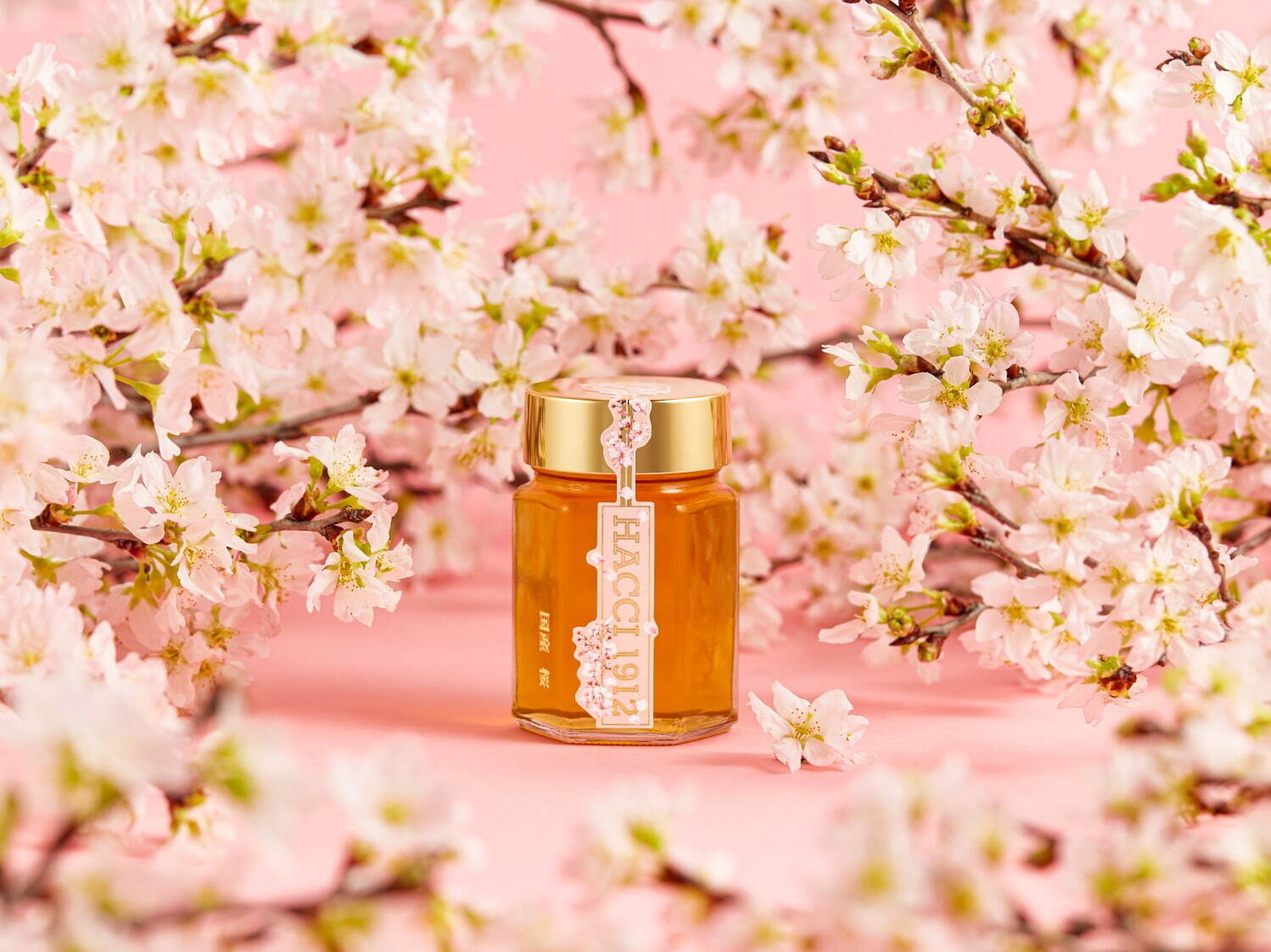 ハッチ(HACCI) 国産桜｜写真3
