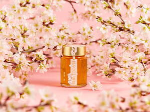 ハッチ(HACCI) 国産桜｜写真3
