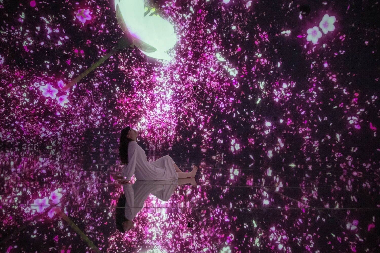 「Floating in the Falling Universe of Flowers」