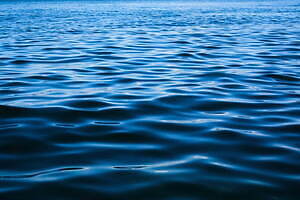 サヤカ デイヴィス(SAYAKA DAVIS) 2022年春夏ウィメンズコレクション  - 写真1