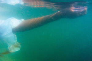 サヤカ デイヴィス(SAYAKA DAVIS) 2022年春夏ウィメンズコレクション  - 写真38