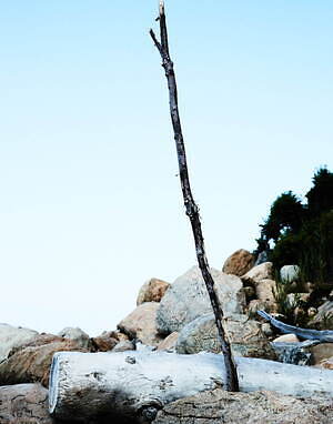 サヤカ デイヴィス(SAYAKA DAVIS) 2022年春夏ウィメンズコレクション  - 写真48