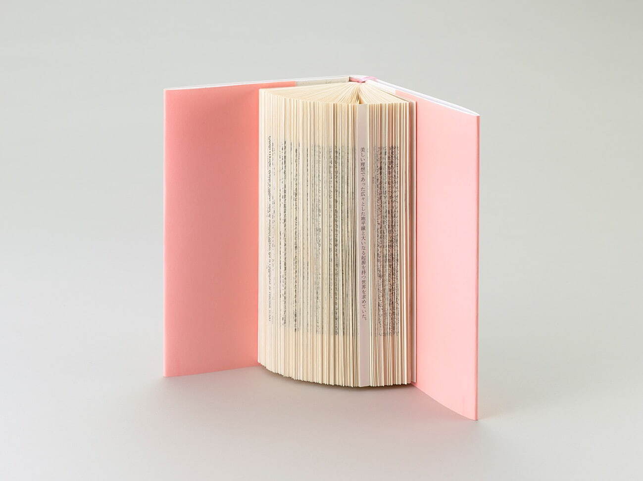 福田尚代《翼あるもの『ポータブル文学小史』》2013年 Photo: Ichiro Otani