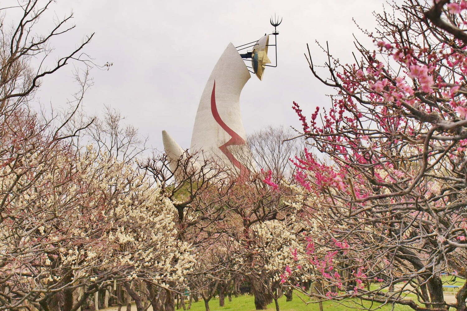 万博記念公園,万博記念公園 日本庭園「万博記念公園 梅まつり」
