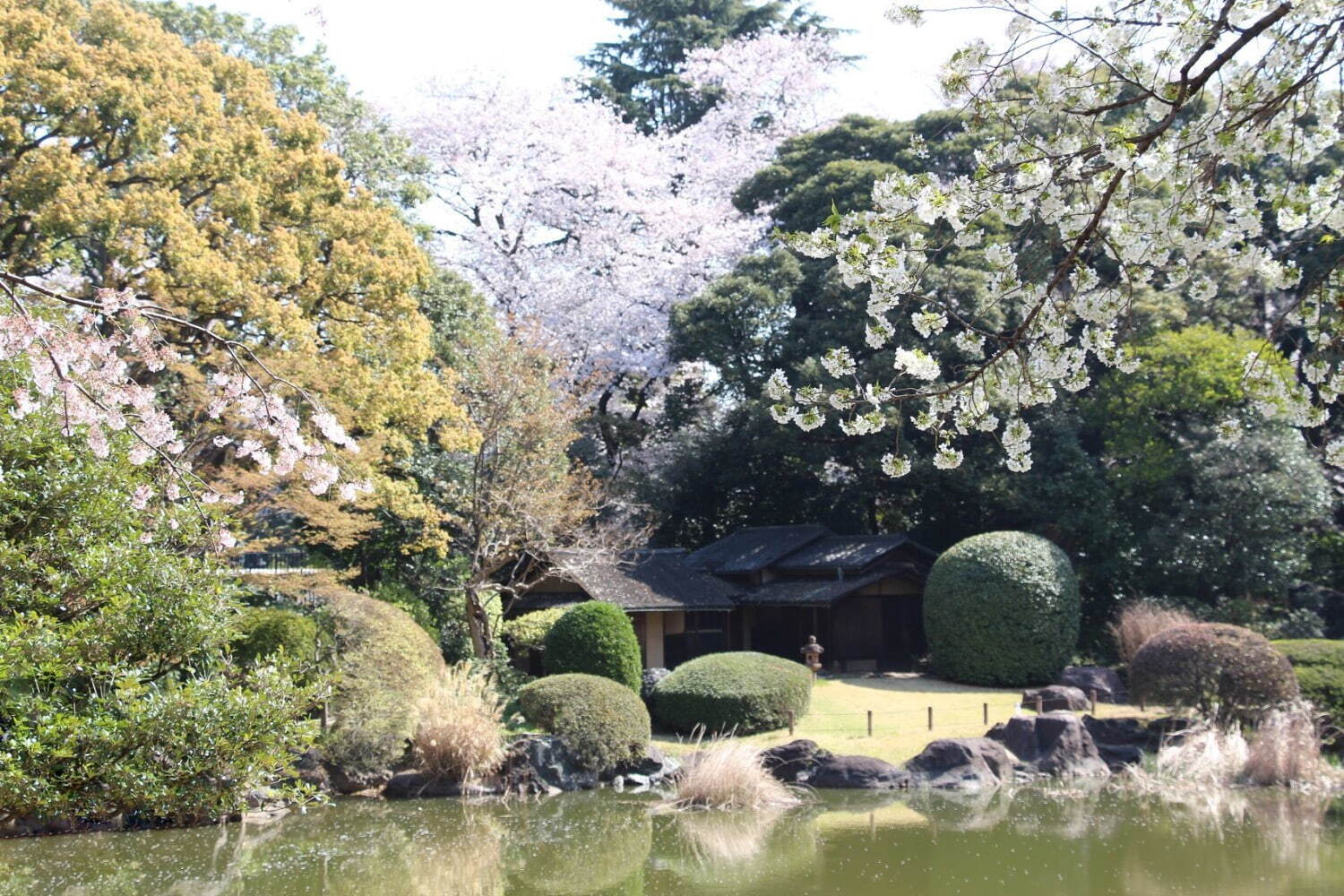 東京国立博物館「博物館でお花見を」“桜”をテーマに絵画や工芸、きものなどの日本美術を紹介｜写真10