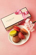 クリオロ(CRIOLLO) 幻のチーズケーキ さくら・ダンジュ｜写真1