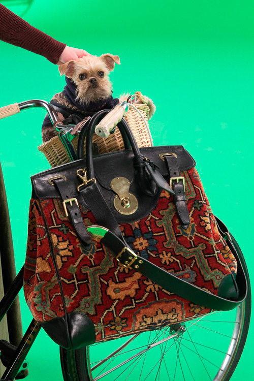 ラルフ ローレン(Ralph Lauren) The Dog Walk｜写真6