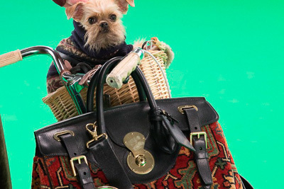 ラルフ ローレン「The Dog Walk」