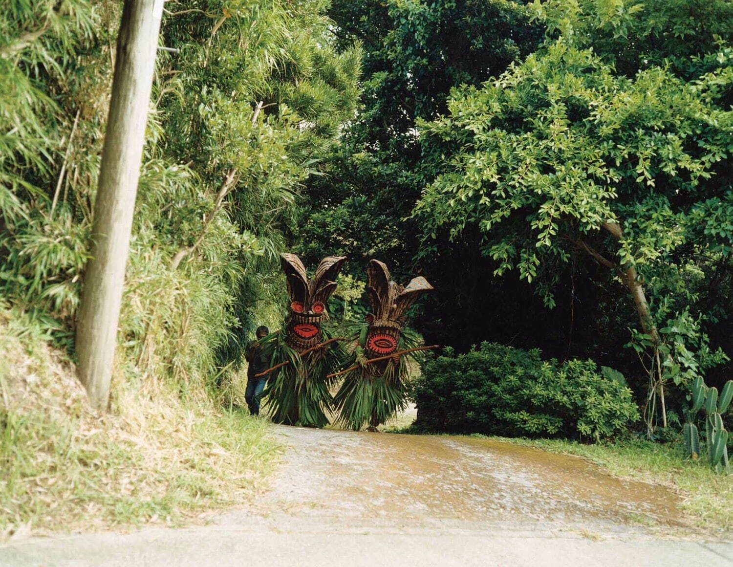 ボゼ 鹿児島県十島村悪石島 2006年 撮影：石川直樹