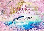 マクセル アクアパーク品川の春限定「サクラ アクアリウム」“満開の桜”が包む幻想的なイルカショー｜写真1