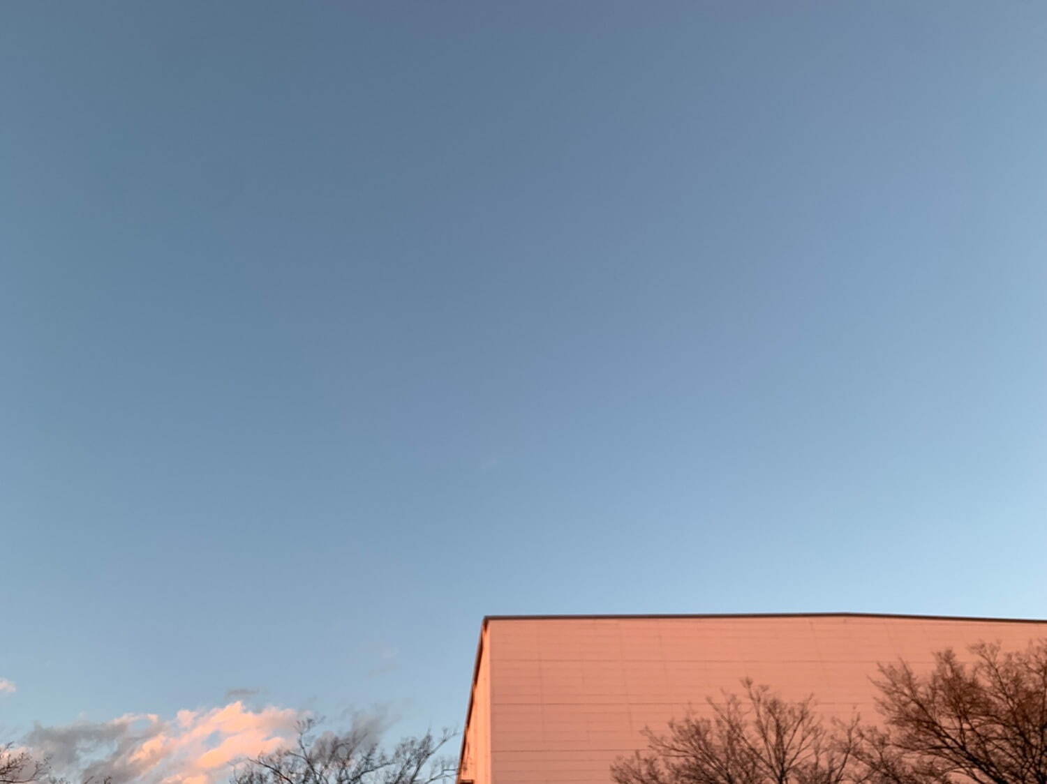 アトウ 2022年春夏<span>コレクション</span> - 写真20