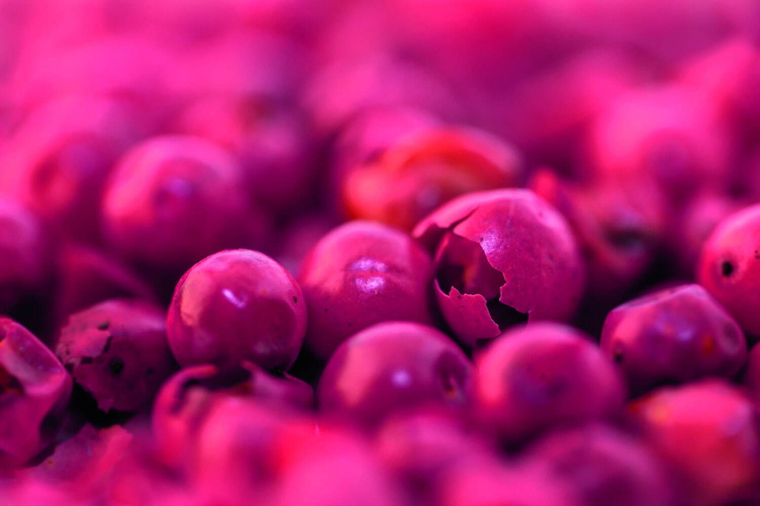 メルヴィータ“ピンクのボディオイル”が22年夏に進化、引き締め＋弾力肌を同時にアプローチ｜写真8