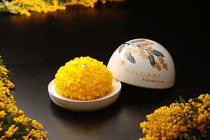 ブルガリ(BVLGARI) ミモザの花｜写真1
