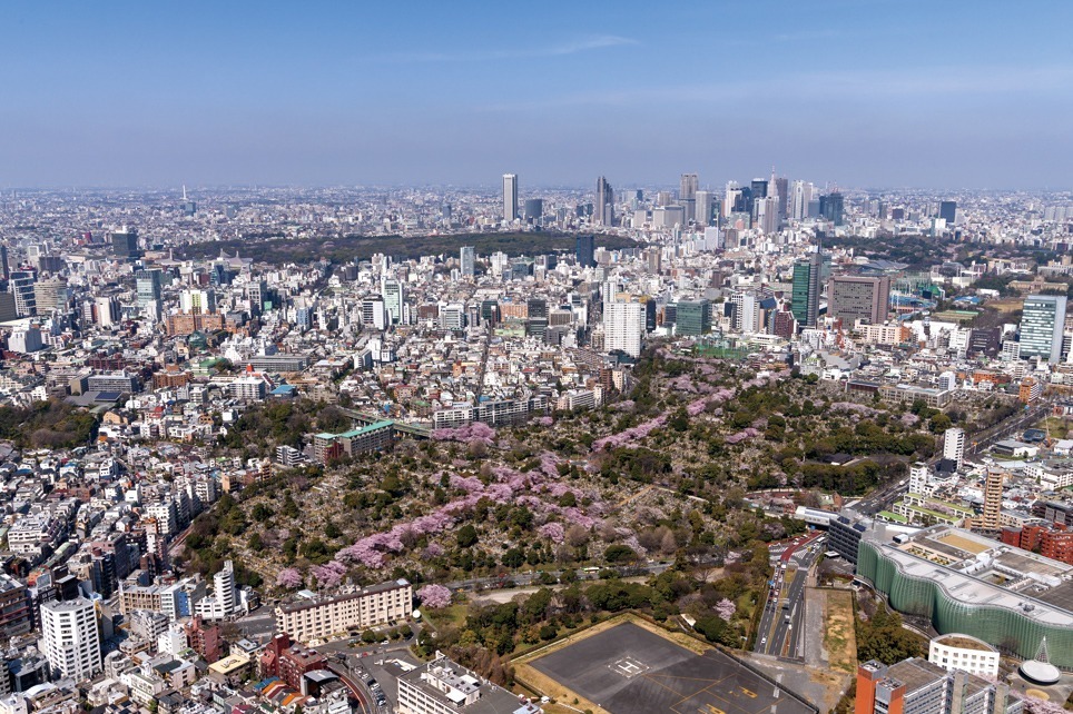 六本木ヒルズ屋上展望台でお花見イベント「天空のお花見 2022〜スカイデッキでお花見を〜」｜写真1