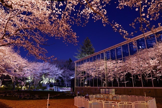 よみうりランド隣接フラワーパーク「HANA・BIYORI」モネ×ルノワール×ゴッホ“花の名画”アートショー｜写真4