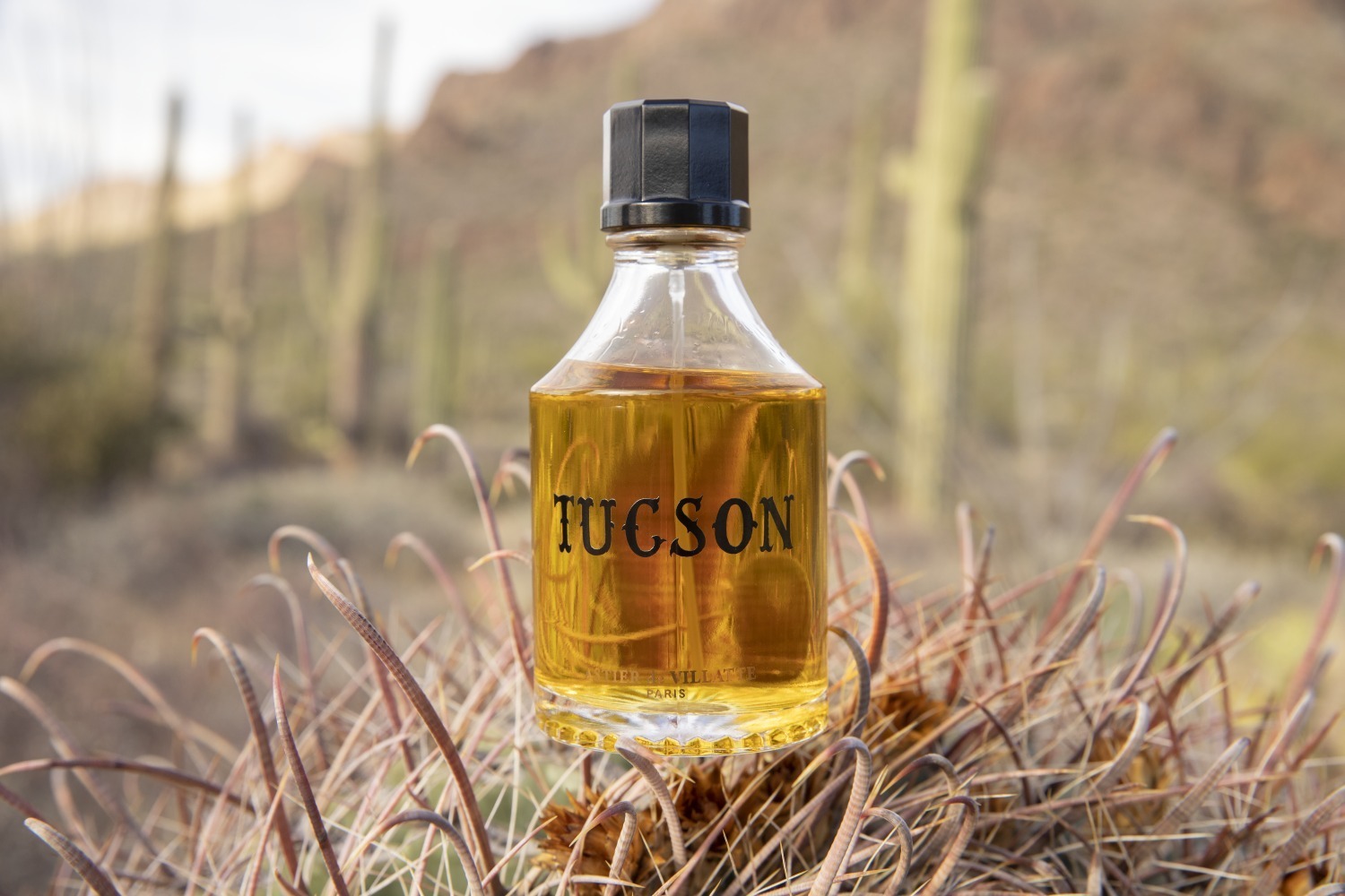 アスティエ・ド・ヴィラット“ブランド初”の香水「ツーソン」砂漠を思わ 