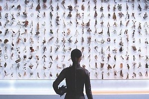韓国のアーティストデュオ「ムン・キョンウォン＆チョン・ジュンホ」大規模個展が金沢21世紀美術館で