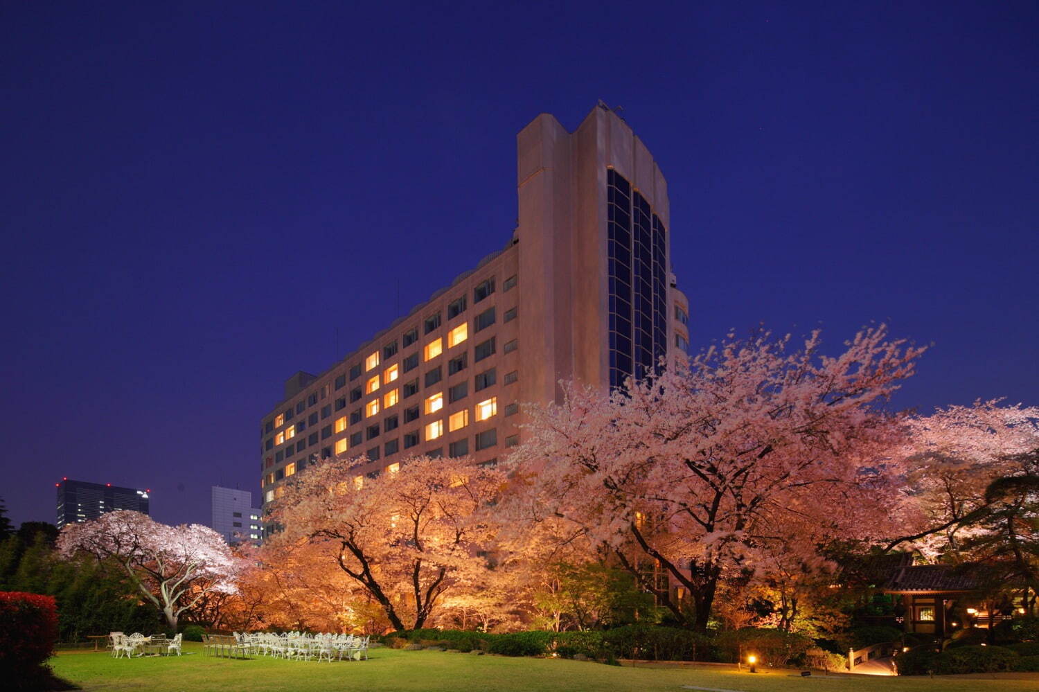 夜桜シアター ピーターラビット グランドプリンスホテル高輪｜写真3