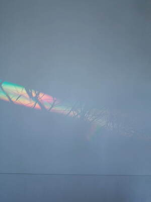 ライフウィズフラワーズ(LIFE WITH FLOWERS.) 2022年春夏ウィメンズコレクション  - 写真24