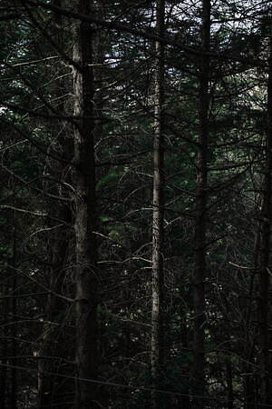 ウールリッチ(WOOLRICH) 2022年春夏ウィメンズコレクション  - 写真1