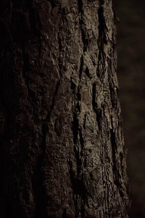 ウールリッチ(WOOLRICH) 2022年春夏ウィメンズコレクション  - 写真2