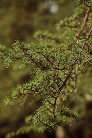 ウールリッチ(WOOLRICH) 2022年春夏ウィメンズコレクション  - 写真4