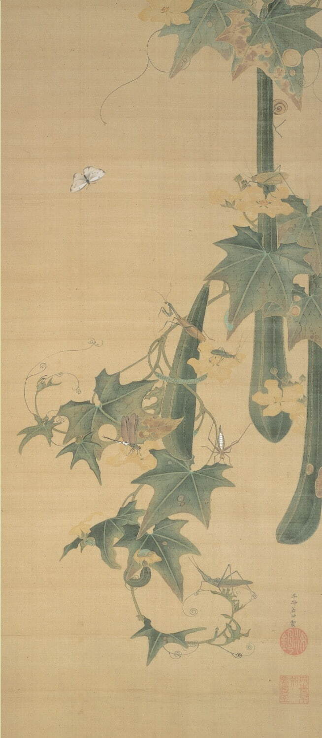 伊藤若冲《糸瓜群虫図》江戸中期 細見美術館蔵［後期展示］
