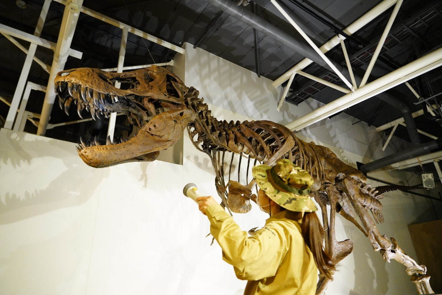 「ジュラシック大恐竜展inよみうりランド」“動き、ほえる”恐竜ロボット＆ティラノサウルスの全身骨格｜写真6