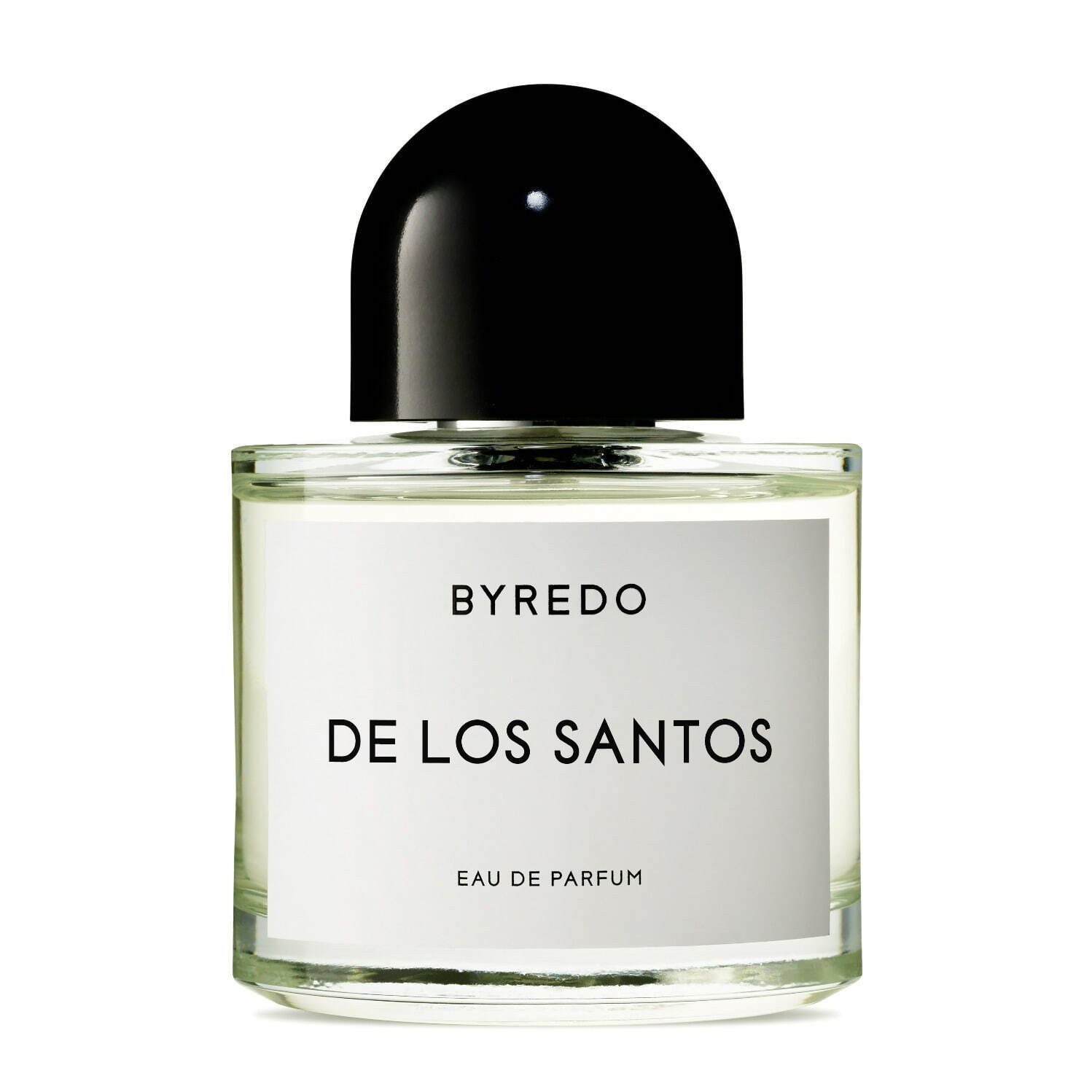 バイレード(BYREDO) デ ロス サントス｜写真1