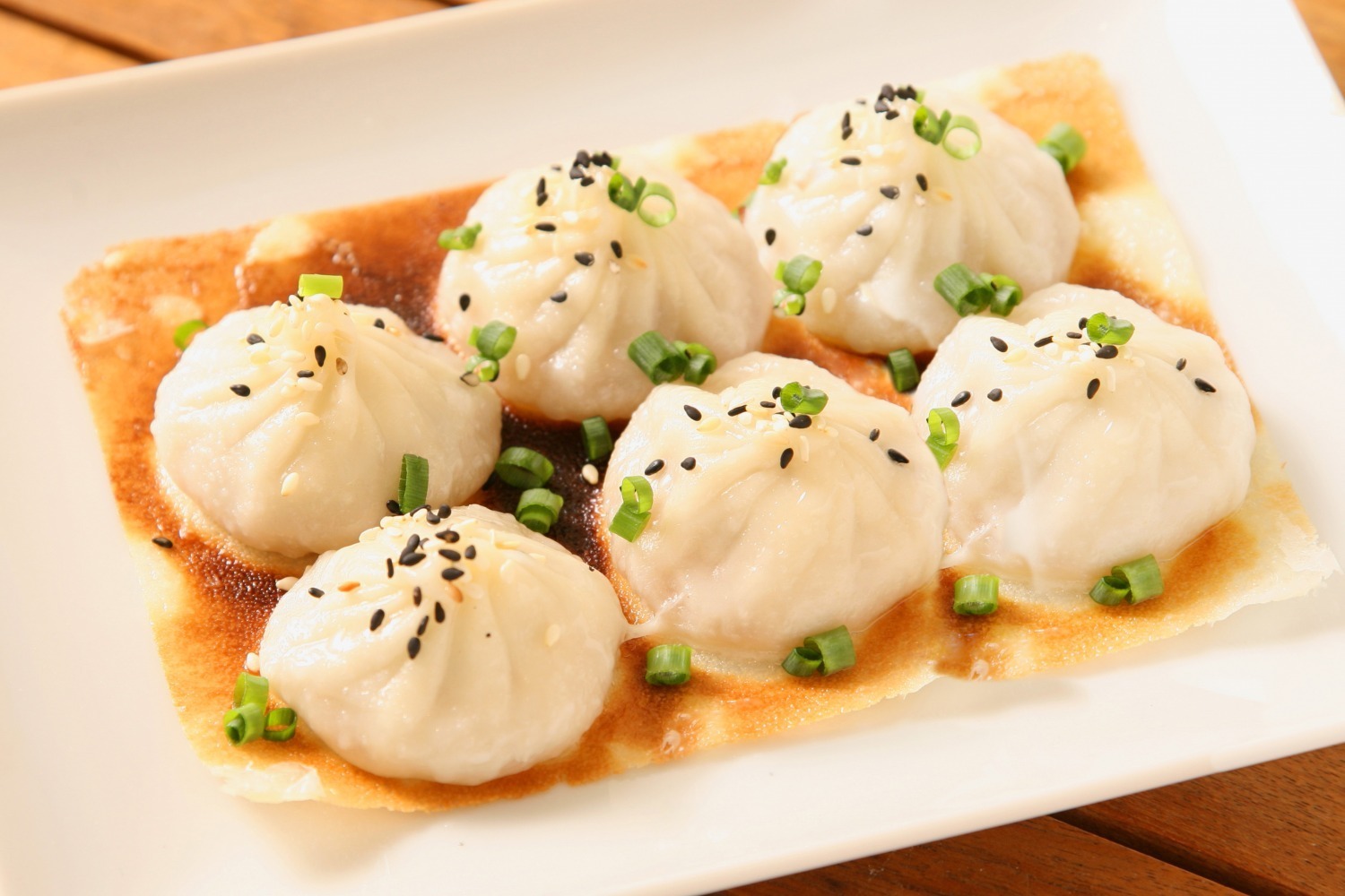 駒沢オリンピック公園「クラフト餃子フェス」