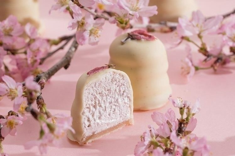 サマーバード オーガニック「クリームキス」“ふわとろ食感”スイーツがサクラフレーバーに