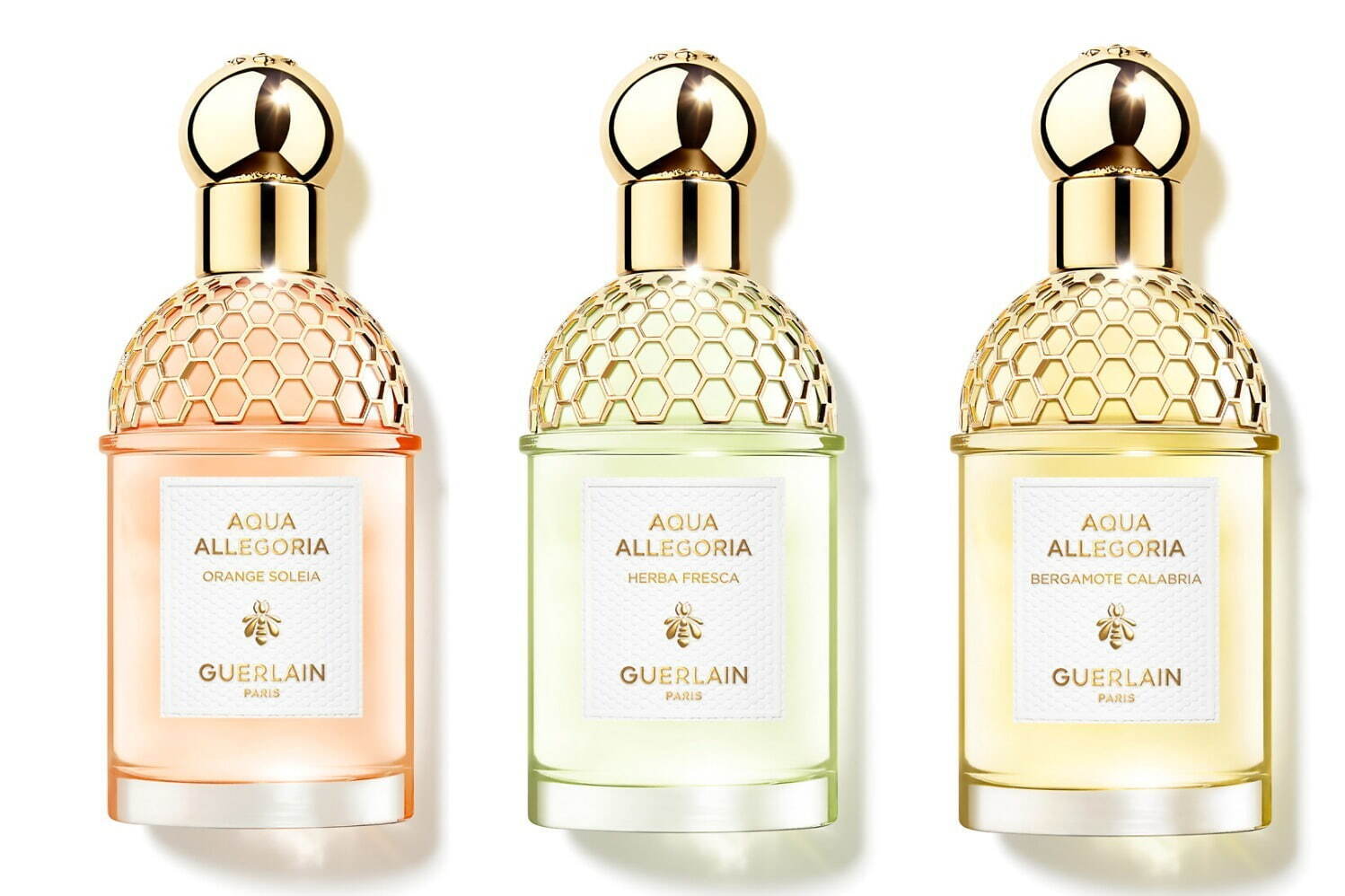 ゲラン(GUERLAIN) アクア アレゴリア ネロリア ベチバー｜写真10