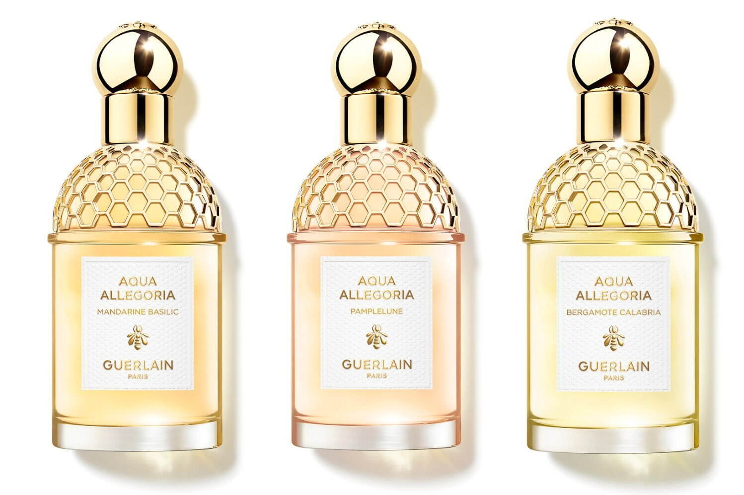 ゲラン(GUERLAIN) アクア アレゴリア ネロリア ベチバー｜写真9