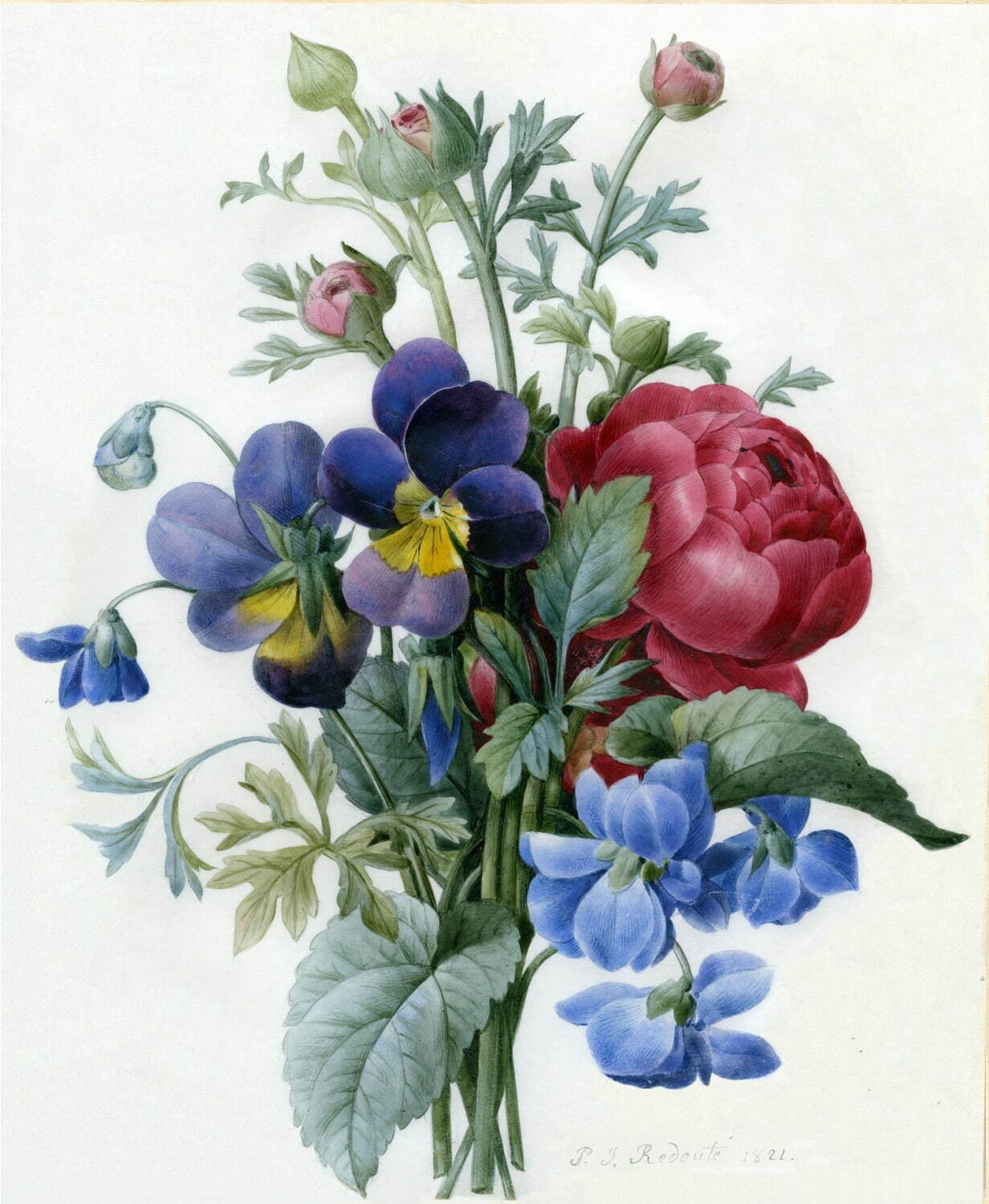 肉筆画《赤のラナンキュラス、紫と黄色のパンジーの花束》 1821年