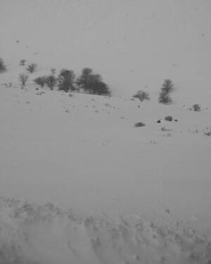 チカ キサダ(Chika Kisada) 2022-23年秋冬ウィメンズコレクション  - 写真19