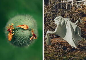 アミュー シー(amiu.c) 2022-23年秋冬ウィメンズコレクション  - 写真1