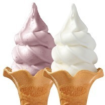 「アイスクリーム博覧会」埼玉・イオンレイクタウンで、国内外のご当地アイスや世界一のジェラートが集結｜写真39