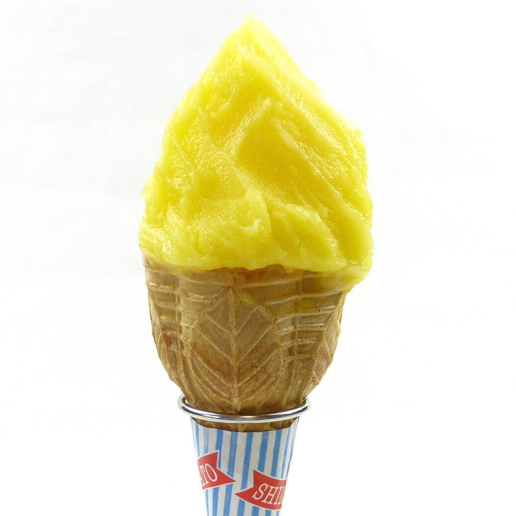 「アイスクリーム博覧会」埼玉・イオンレイクタウンで、国内外のご当地アイスや世界一のジェラートが集結｜写真38