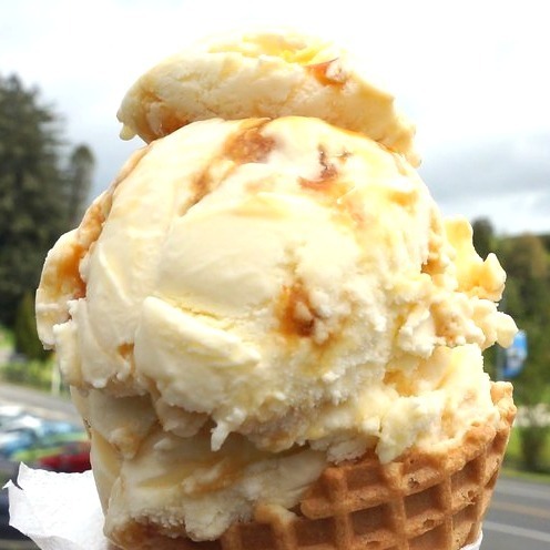 「アイスクリーム博覧会」埼玉・イオンレイクタウンで、国内外のご当地アイスや世界一のジェラートが集結｜写真16