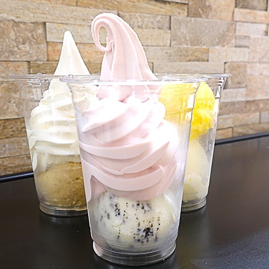「アイスクリーム博覧会」埼玉・イオンレイクタウンで、国内外のご当地アイスや世界一のジェラートが集結｜写真14
