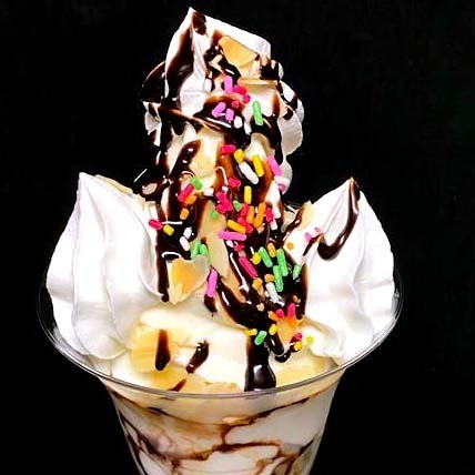 「アイスクリーム博覧会」埼玉・イオンレイクタウンで、国内外のご当地アイスや世界一のジェラートが集結｜写真34