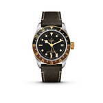 チューダー(TUDOR) ブラックベイ GMT S&G｜写真2