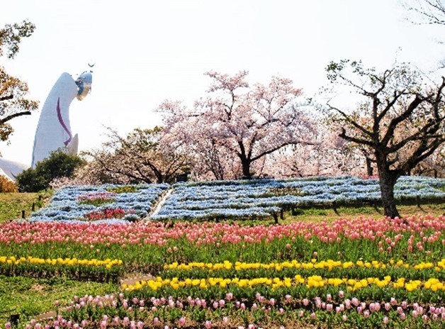 「チューリップフェスタ＆ポピーフェア」大阪・万博記念公園で春のフラワーイベント｜写真5