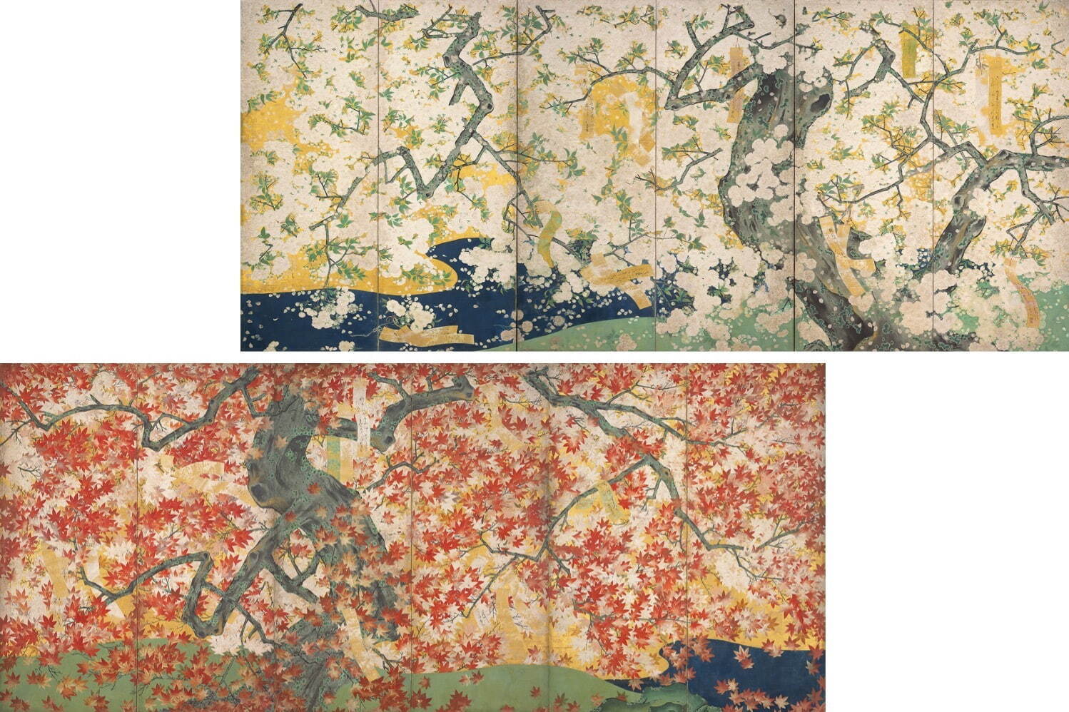 《吉野龍田図》六曲一双 江戸時代 17世紀 根津美術館
