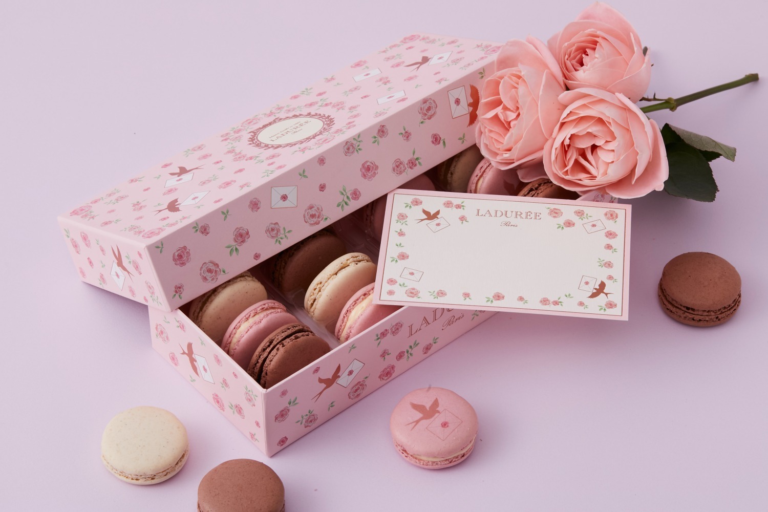 ラデュレ"母の日”マカロン「レトルダムール」手紙を運ぶ鳥を描いたローズ風味、鳥と花模様のボックスも