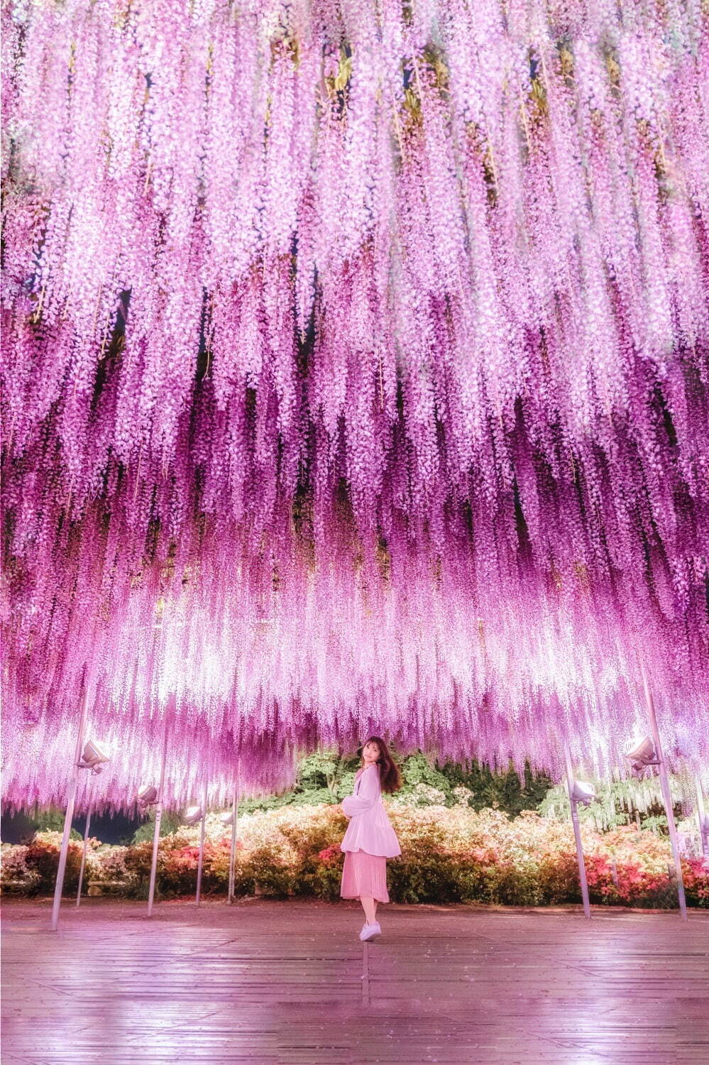 栃木 あしかがフラワーパーク ふじのはな物語 大藤ライトアップ 白藤のトンネルが織りなす春の絶景 ファッションプレス