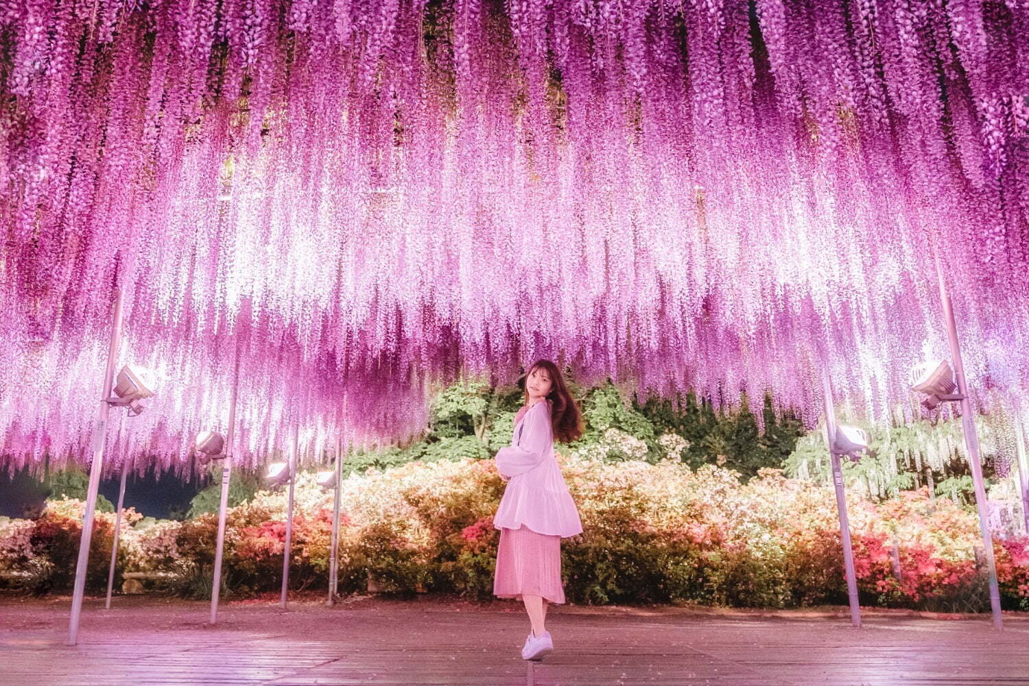 あしかがフラワーパーク「ふじのはな物語」